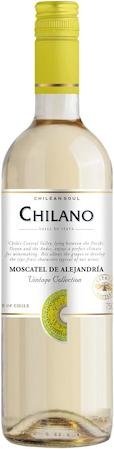 vinho branco chilano sauvignon